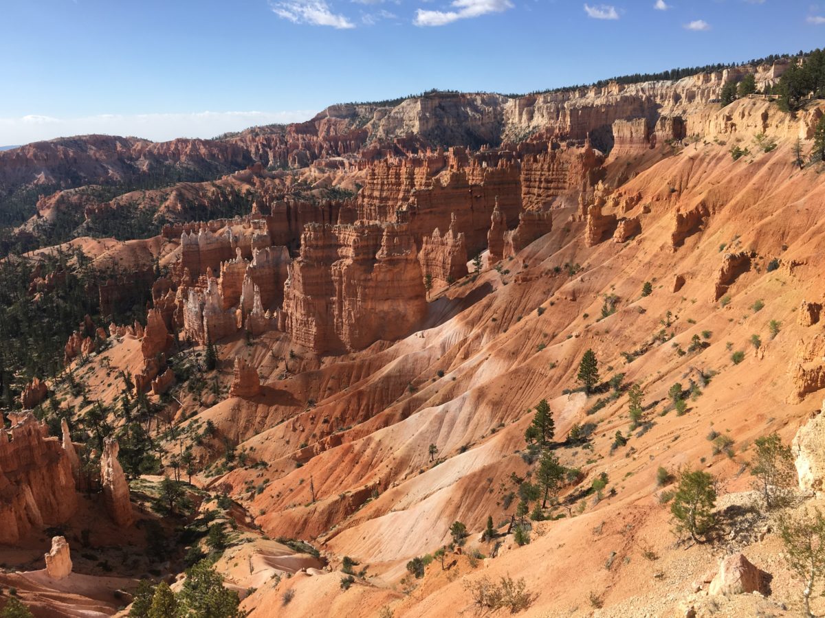 Utah – The Beehive State – Shalin Wild